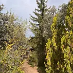 Casa Maia De Lujo En Plena Naturaleza Dağ evi
