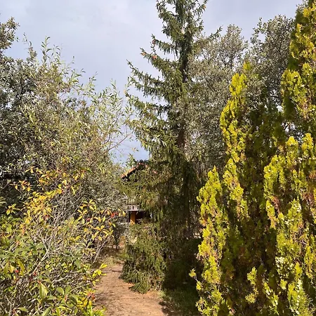 Casa Maia De Lujo En Plena Naturaleza Horská chata